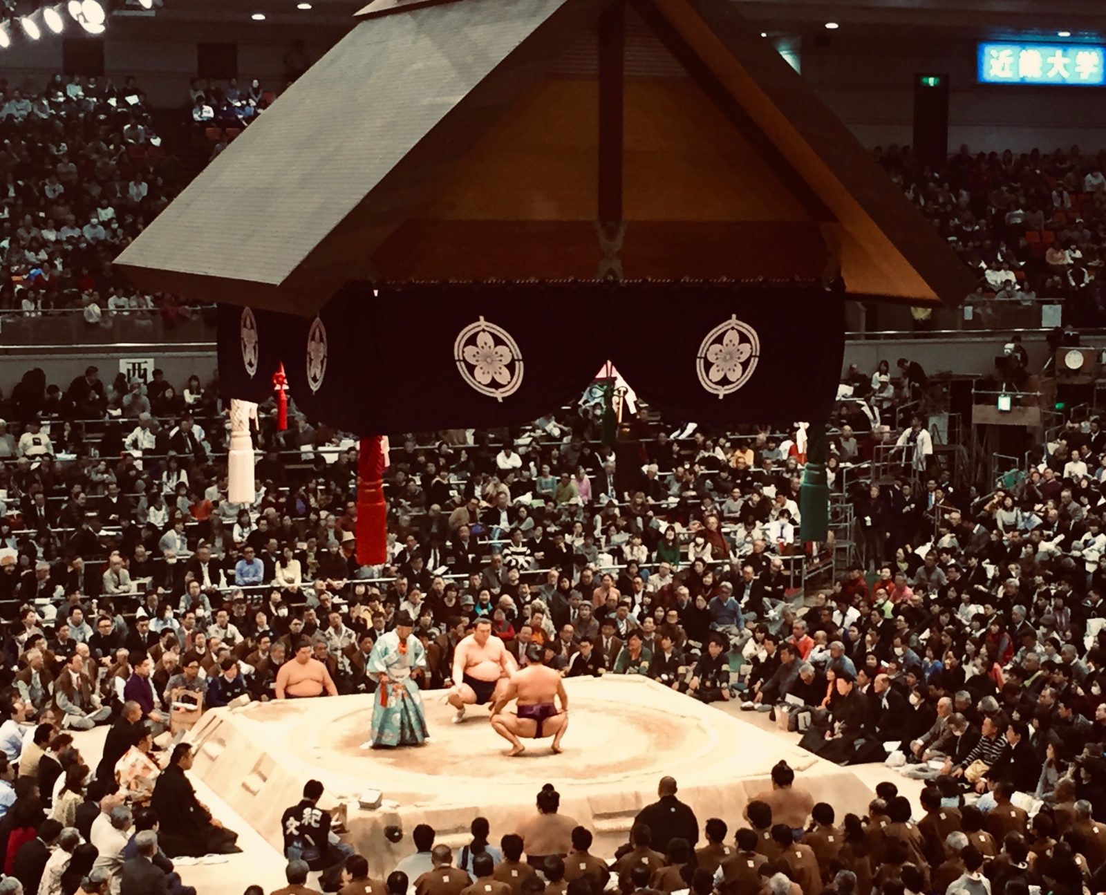 How to See Sumo Wrestling in Japan_match pic 1