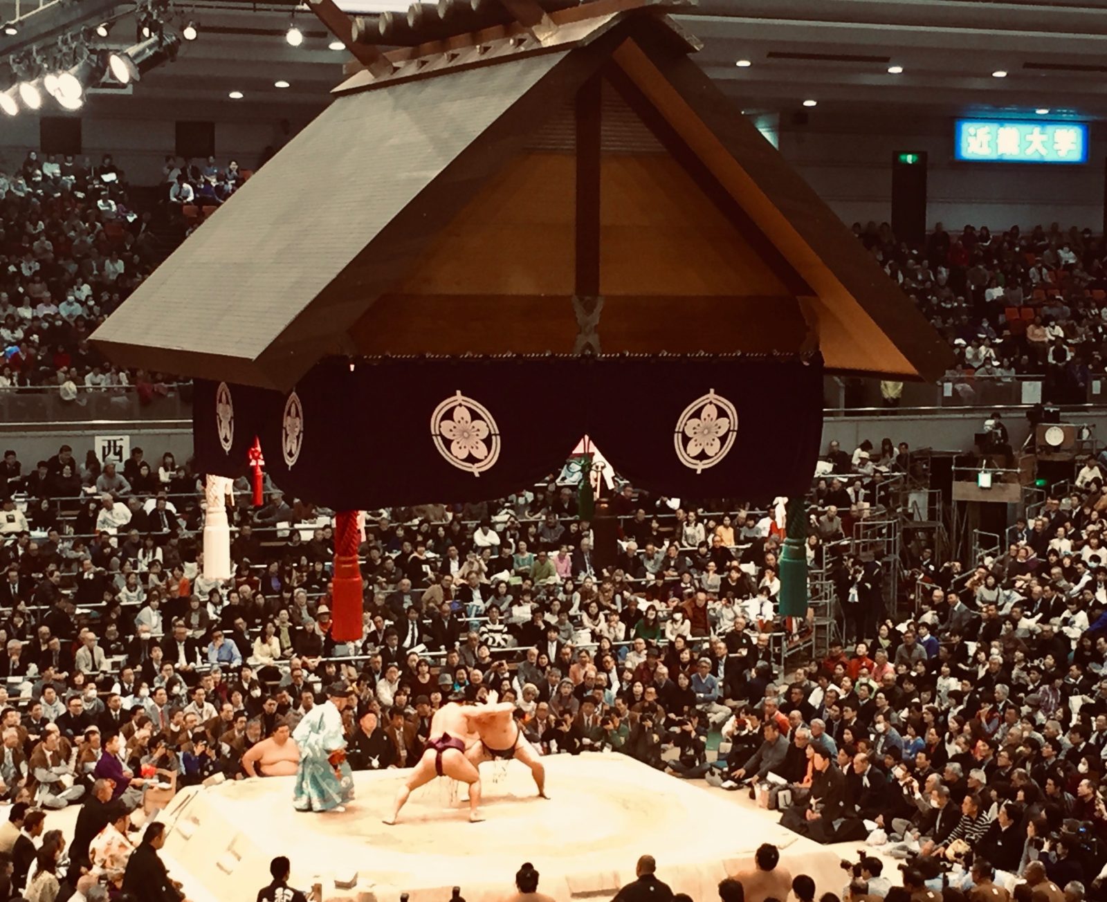 How to See Sumo In Japan_match pic 2